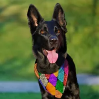 Modern Arlequin Pattern Sparkly Mardi Gras Pet Bandana Collar