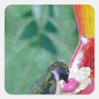 Hummingbird at Feeder Square Sticker