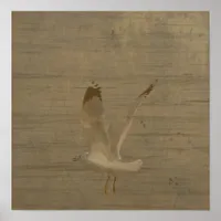 Seagull in Flight Poster