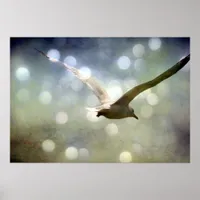 Soar 3 poster