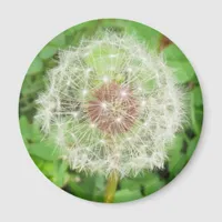 Magnet - Dandelion Seed Ball