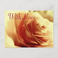 Love Rose Flower Customizable Postcard