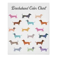 Funny Dachshund Dog Humor Color Chart Poster