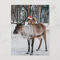 Adorable Santa Squirrel and the Reindeer Postcard