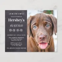 Budget Dog Birthday Puppy Custom Photo Invitation 