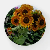 Sunflowers and Morning Glories Paperweight