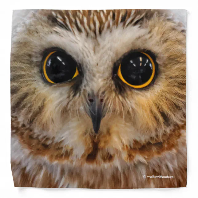 Cute Little Northern Saw Whet Owl Bandana