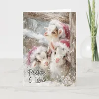 Cute Baby Goats - Snow Babies 10 Christmas Holiday Card