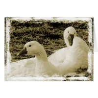 Two Geese All Occasion Blank Greeting Card