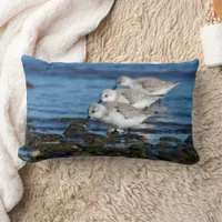 Sanderlings Feasting in Staggered Synchronicity Lumbar Pillow