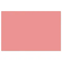 Modern Minimalist Solid Light Coral Tissue Paper