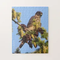 Merlin Falcon in the Pine Tree Jigsaw Puzzle