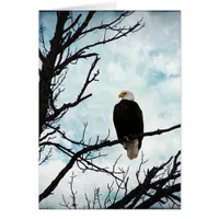 Bald Eagle in a Tree With Blue Sky and Clouds Cards