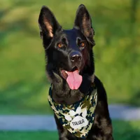 Army Camouflage Pattern Personalized Pet Bandana Collar