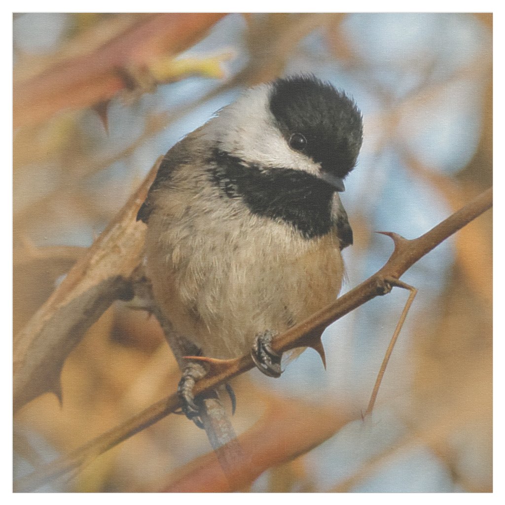 Cute Hopeful Black-Capped Chickadee Songbird Fabric