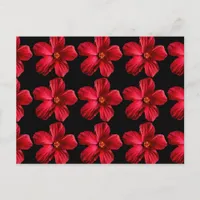 Red Hibiscus Flower Postcard