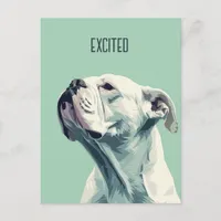 White Boxer Postcard