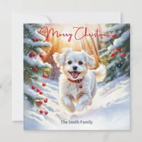 Maltese Terrier Dog In Winter Snow Merry Christmas Holiday Card