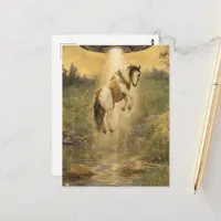 UFO picking up a Gorgeous Gypsy Vanner Horse Postcard