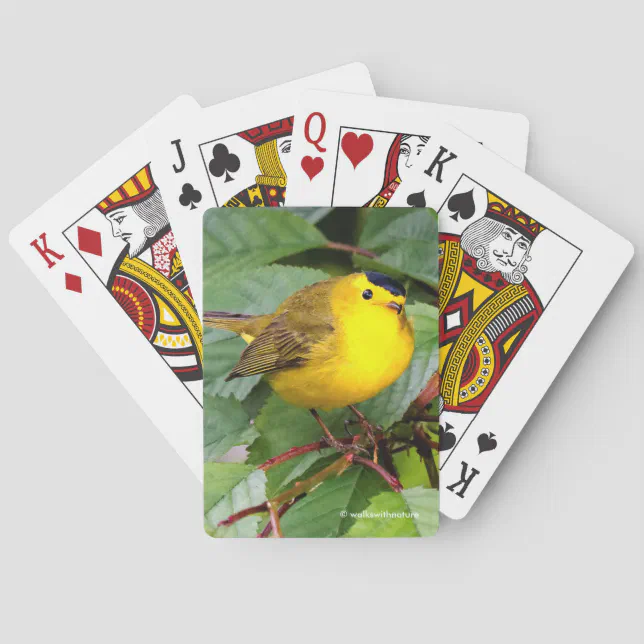 Beautiful Wilson's Warbler in the Cherry Tree Poker Cards