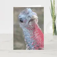 What?  Confused Turkey, Merry Christmas Holiday Card