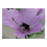 Light Purple Flower With Bee Card