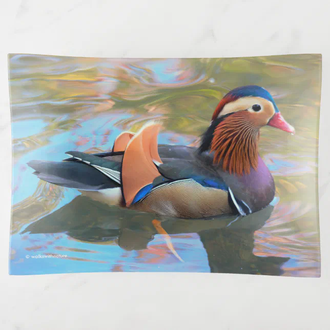 Beautiful Mandarin Duck in the Pond Trinket Tray