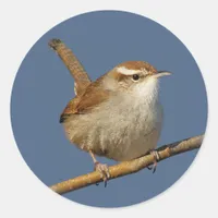 A Curious Bewick's Wren in the Tree Classic Round Sticker