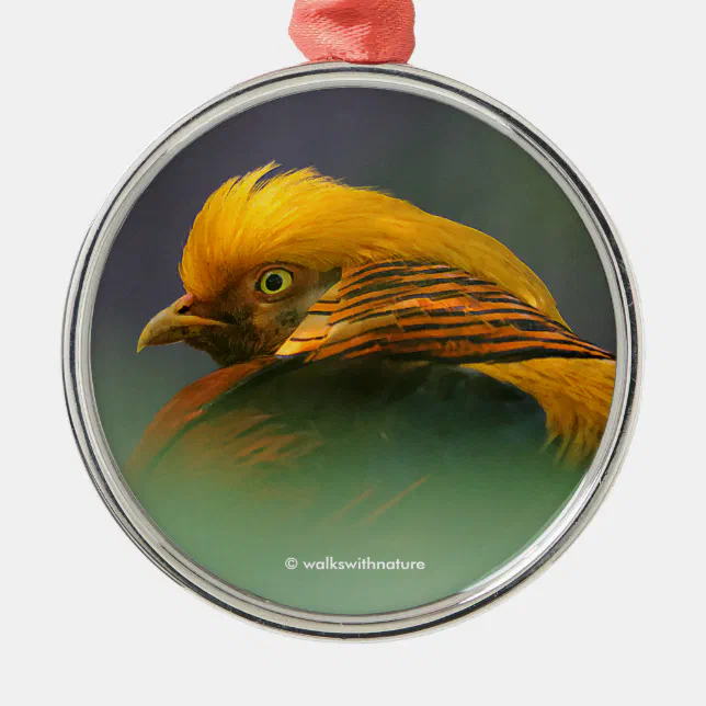 Emerging from the Green: Golden Pheasant Metal Ornament