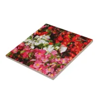 Colorful Wax Begonias Ceramic Tile