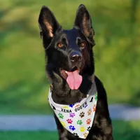 Custom Pet's Name Colorful Paw Prints Pet Bandana Collar