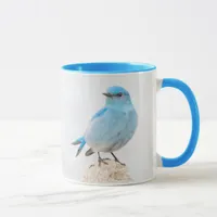 Beautiful Mountain Bluebird on a Stump Mug