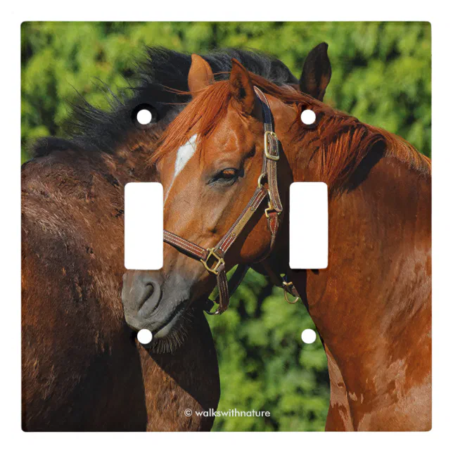 Two Beautiful Chestnut Horses in the Sun Light Switch Cover