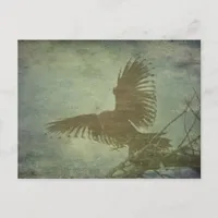 Raven of Poe's Poetry Postcard