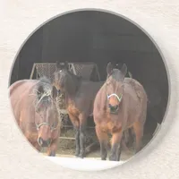 Four Horses Drink Coaster