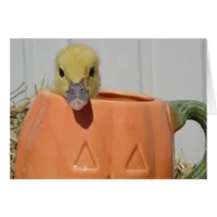Pumpkin Spice