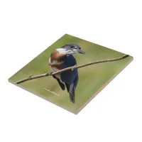 Female Belted Kingfisher Out on a Limb Ceramic Tile