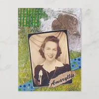 Amaryllis ATC Postcard