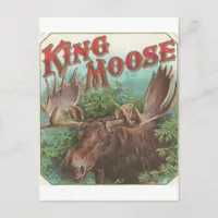 Vintage King Moose Postcard