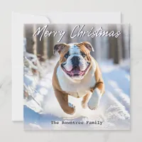 British English Bulldog Dog In Snow Christmas Holiday Card