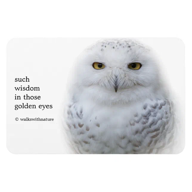 Beautiful, Dreamy and Serene Snowy Owl Magnet