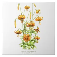 Wild Orange Tiger Lily Floral Botanical Style Art Ceramic Tile