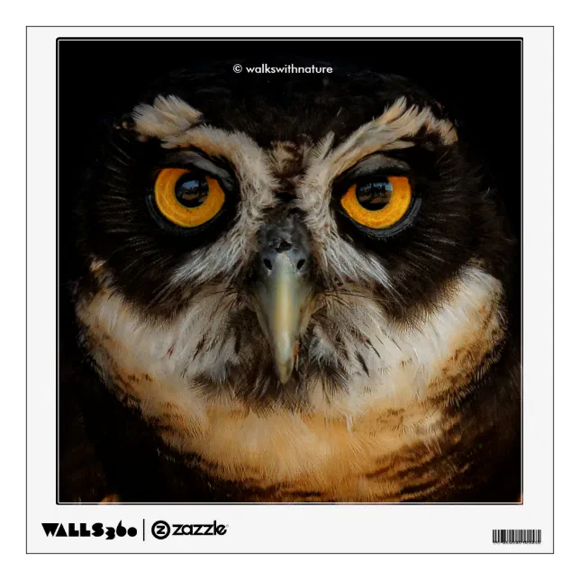 Mesmerizing Golden Eyes of a Spectacled Owl Wall Sticker