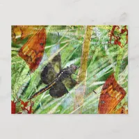 Dragonfly, Fly Away Postcard