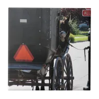 At the Stop Sign, An amish horse Tile