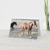 Yearlings Card