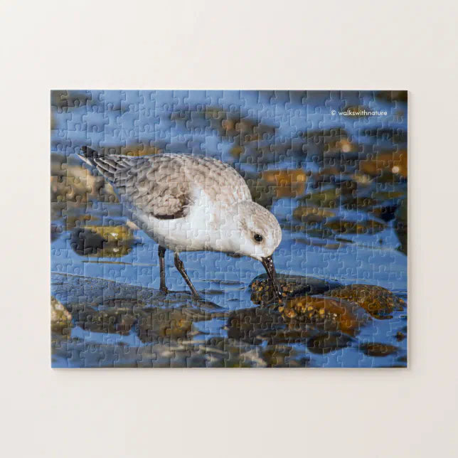 Cute Foraging Sanderling Sandpiper on Winter Beach Jigsaw Puzzle