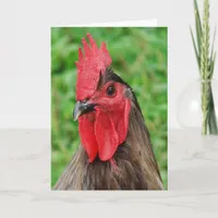 Beautiful Blue Rooster All Occasions  Card