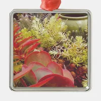 Colorful Succulents Metal Ornament