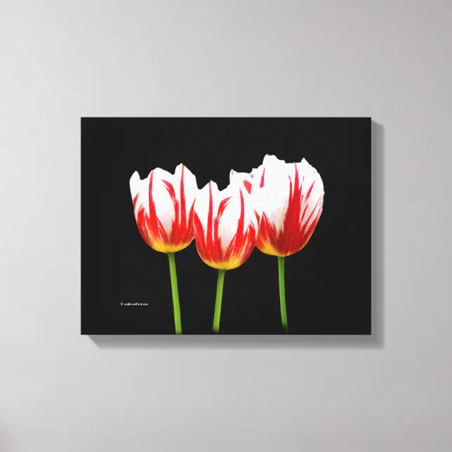 Elegant Maple Leaf Tulips Canvas Print